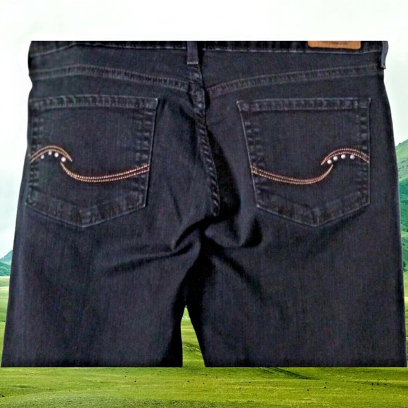 Signature Jeans Womans 10 Large Low Rise Ankle Skinny Pants Dark Wash - Picture 6 of 13